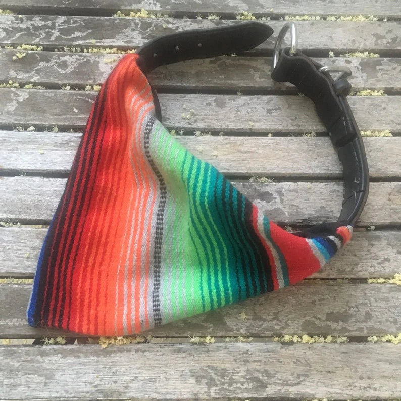 K Calor Serape Pet Scarf