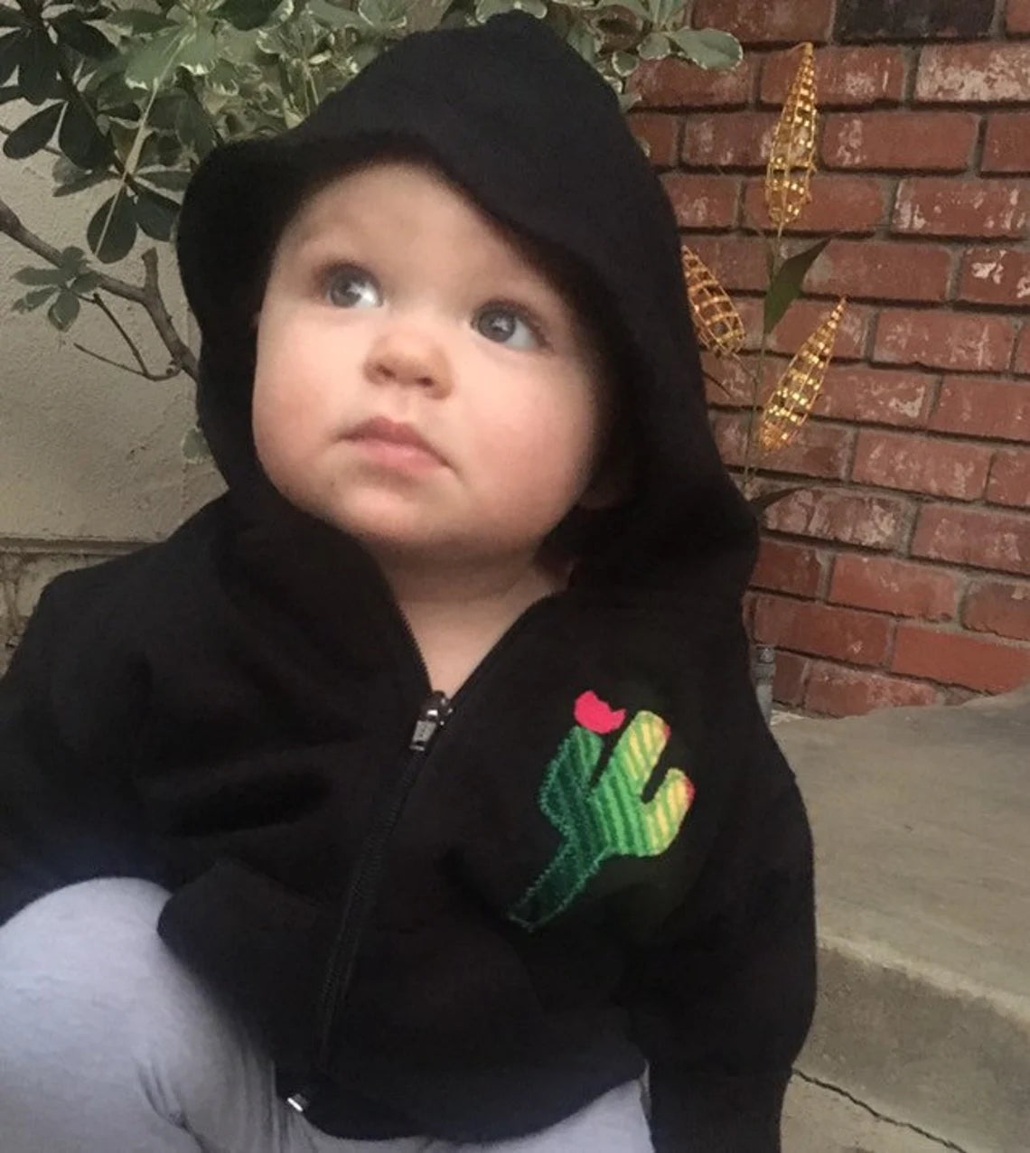 Baby Zip Up Hooded Sweatshirt with Serape Cactus